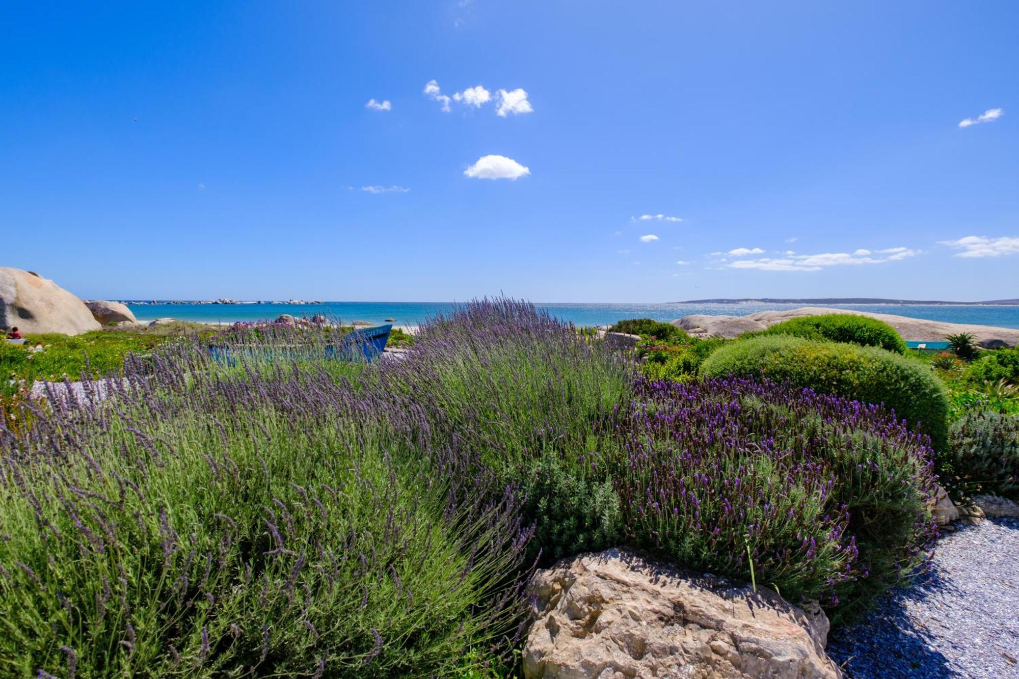 Dankbaar Holiday Home Paternoster Eksteriør bilde
